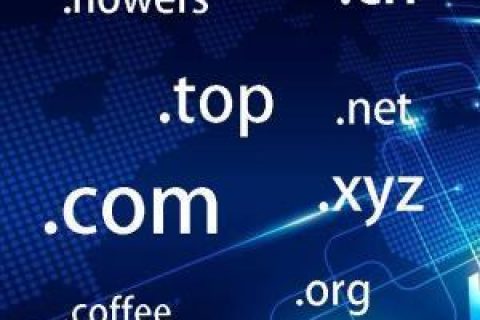 拉薩網(wǎng)站建設(shè)常見問題之什么是域名？如何購(gòu)買和選購(gòu)域名？