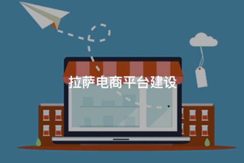 拉薩商城開(kāi)發(fā)怎么做？主流拉薩商城網(wǎng)站搭建方式對(duì)比